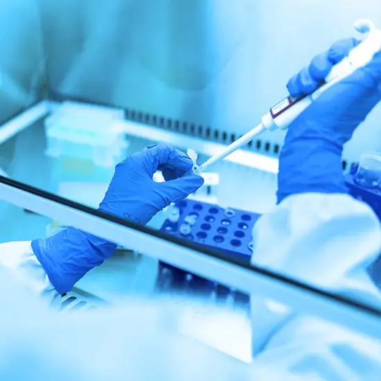 pus culture and sensitivity test